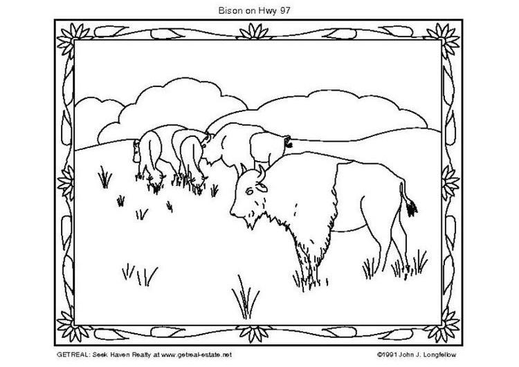 Desenho gratuito Bisão #1207 da colecao Animais para imprimir