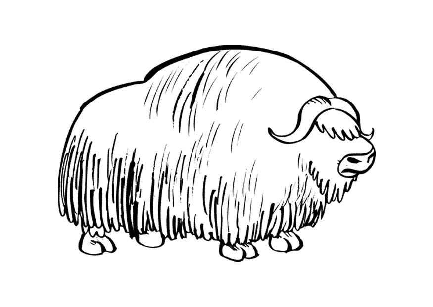 Desenho gratuito Bisão #1225 da colecao Animais para imprimir