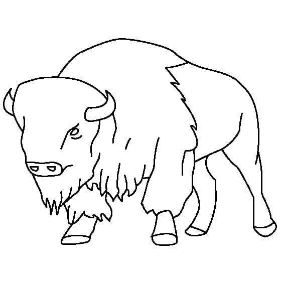 Desenho gratuito Bisão #205526 da colecao Animais para imprimir