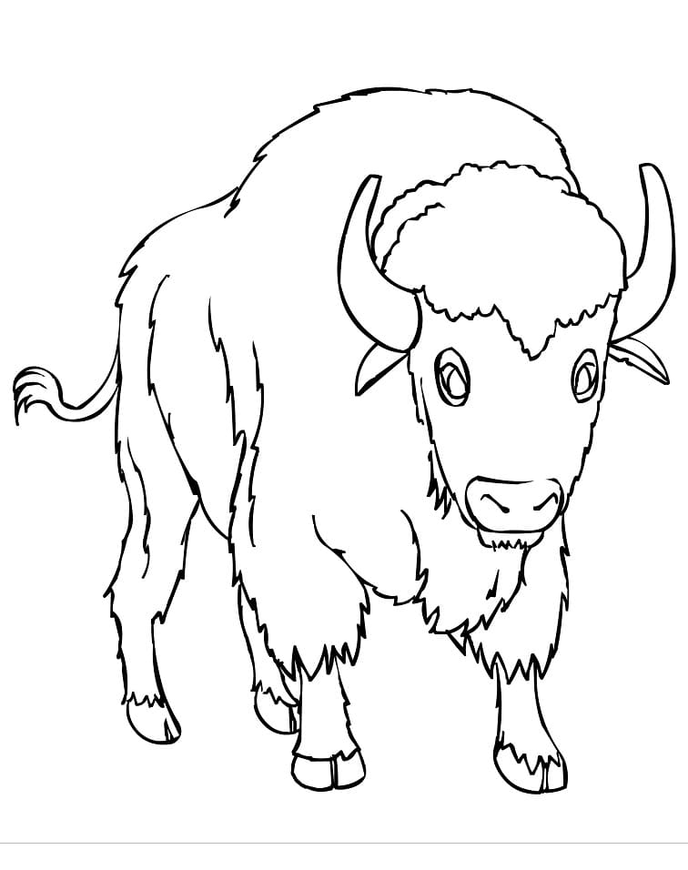 Desenho gratuito Bisão #205540 da colecao Animais para imprimir
