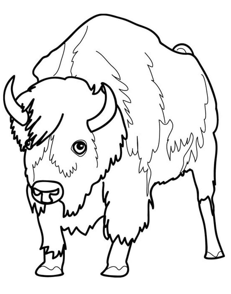 Desenho gratuito Bisão #205541 da colecao Animais para imprimir