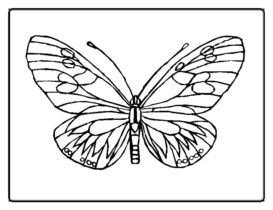 Página para colorir: Borboleta (animais) #15669 - Páginas para Colorir Imprimíveis Gratuitamente