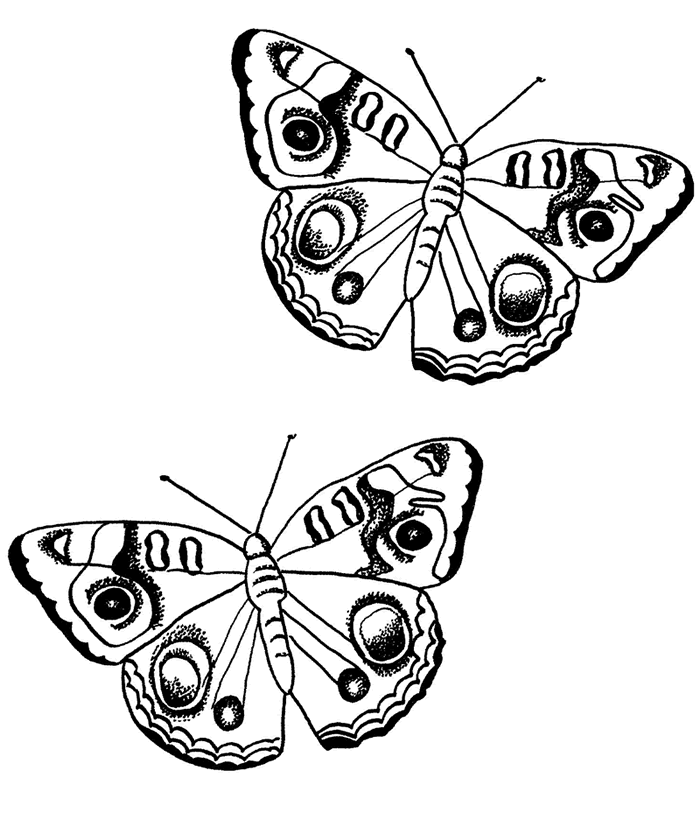 Página para colorir: Borboleta (animais) #15764 - Páginas para Colorir Imprimíveis Gratuitamente