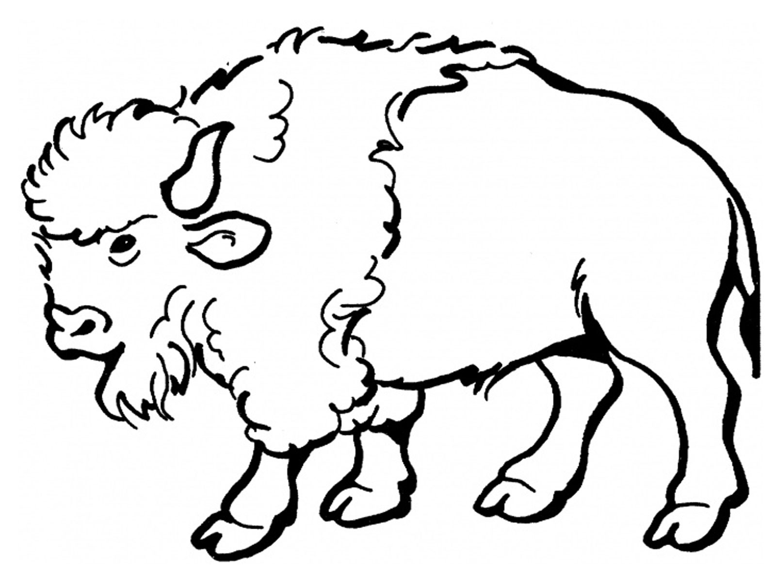 Página para colorir: Búfalo (animais) #1190 - Páginas para Colorir Imprimíveis Gratuitamente
