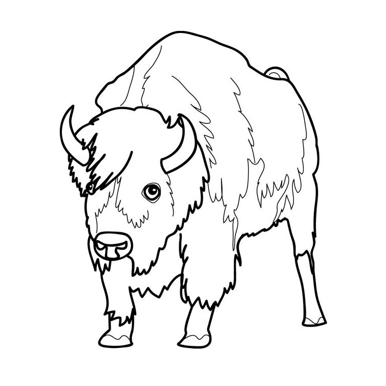 Página para colorir: Búfalo (animais) #1192 - Páginas para Colorir Imprimíveis Gratuitamente