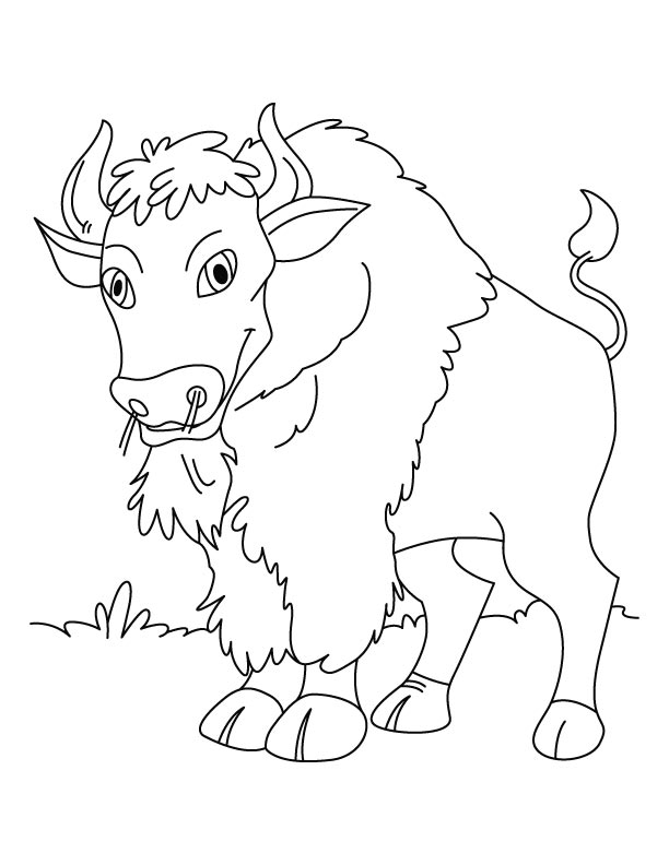 Página para colorir: Búfalo (animais) #1219 - Páginas para Colorir Imprimíveis Gratuitamente