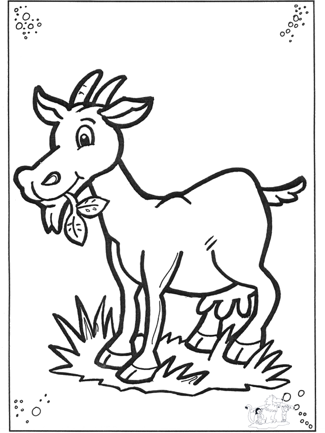 Página para colorir: Cabra (animais) #2384 - Páginas para Colorir Imprimíveis Gratuitamente