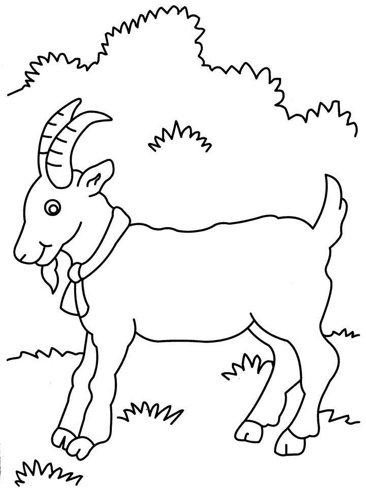 Página para colorir: Cabra (animais) #2403 - Páginas para Colorir Imprimíveis Gratuitamente