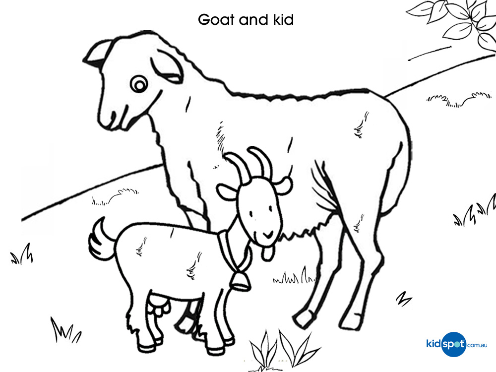 Página para colorir: Cabra (animais) #2437 - Páginas para Colorir Imprimíveis Gratuitamente