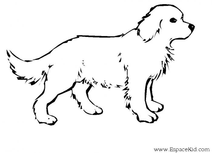Página para colorir: Cachorro (animais) #14 - Páginas para Colorir Imprimíveis Gratuitamente