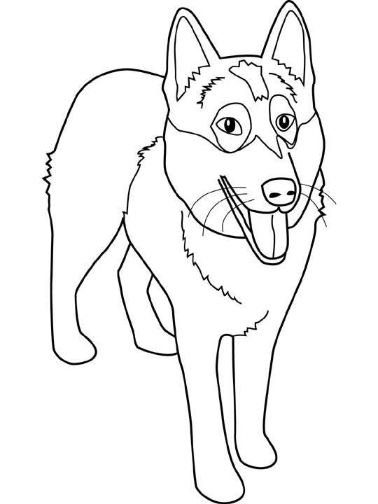 Página para colorir: Cachorro (animais) #3095 - Páginas para Colorir Imprimíveis Gratuitamente