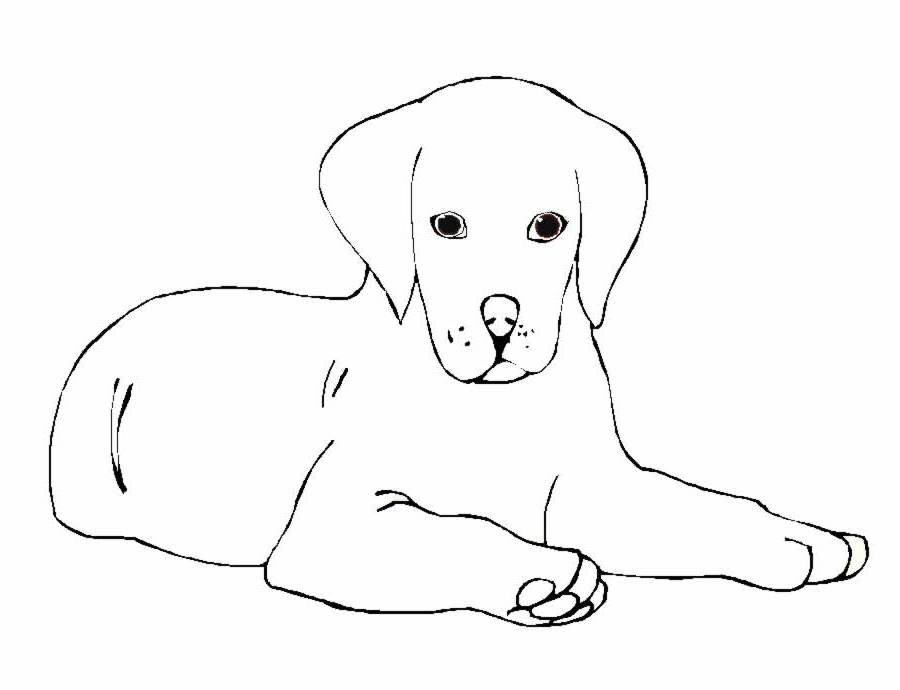 Página para colorir: Cachorro (animais) #3108 - Páginas para Colorir Imprimíveis Gratuitamente