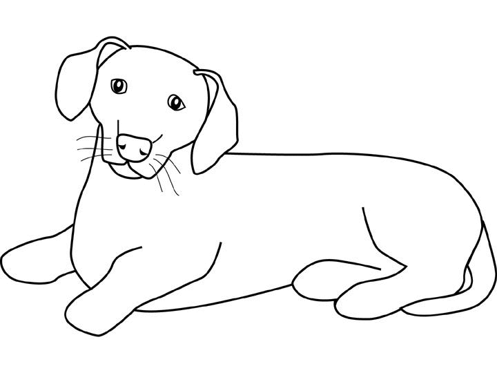 Página para colorir: Cachorro (animais) #3126 - Páginas para Colorir Imprimíveis Gratuitamente