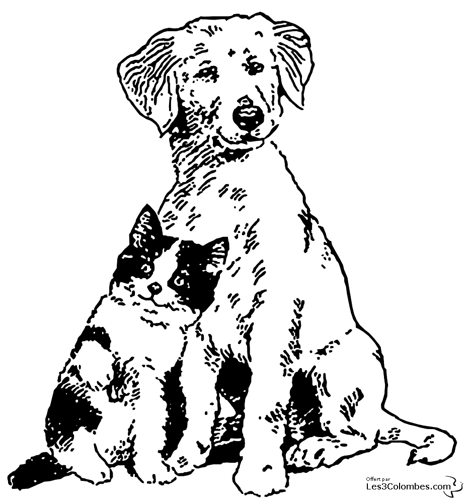 Página para colorir: Cachorro (animais) #3128 - Páginas para Colorir Imprimíveis Gratuitamente