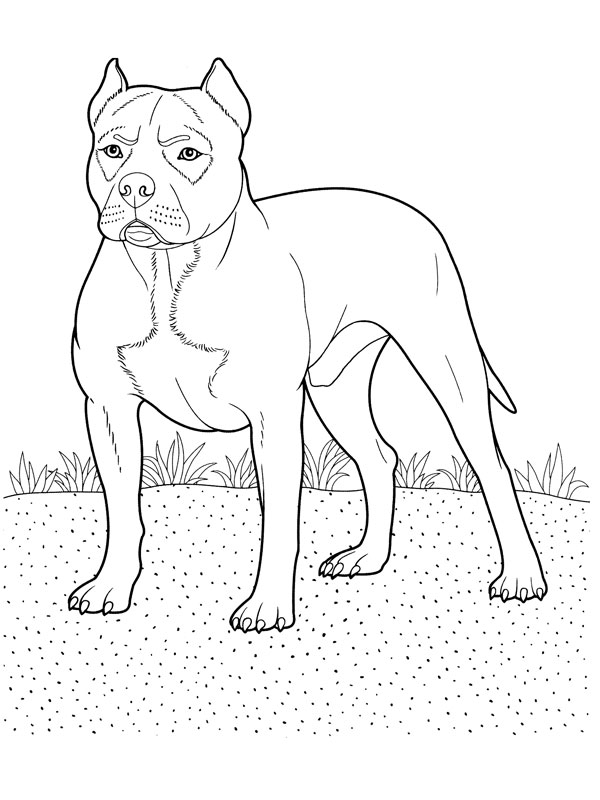 Página para colorir: Cachorro (animais) #3138 - Páginas para Colorir Imprimíveis Gratuitamente