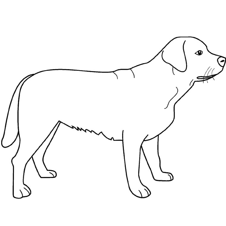 Página para colorir: Cachorro (animais) #3139 - Páginas para Colorir Imprimíveis Gratuitamente