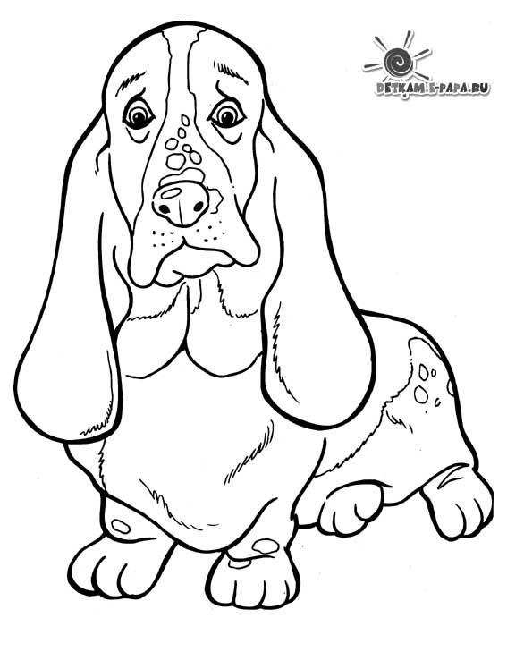 Página para colorir: Cachorro (animais) #3164 - Páginas para Colorir Imprimíveis Gratuitamente