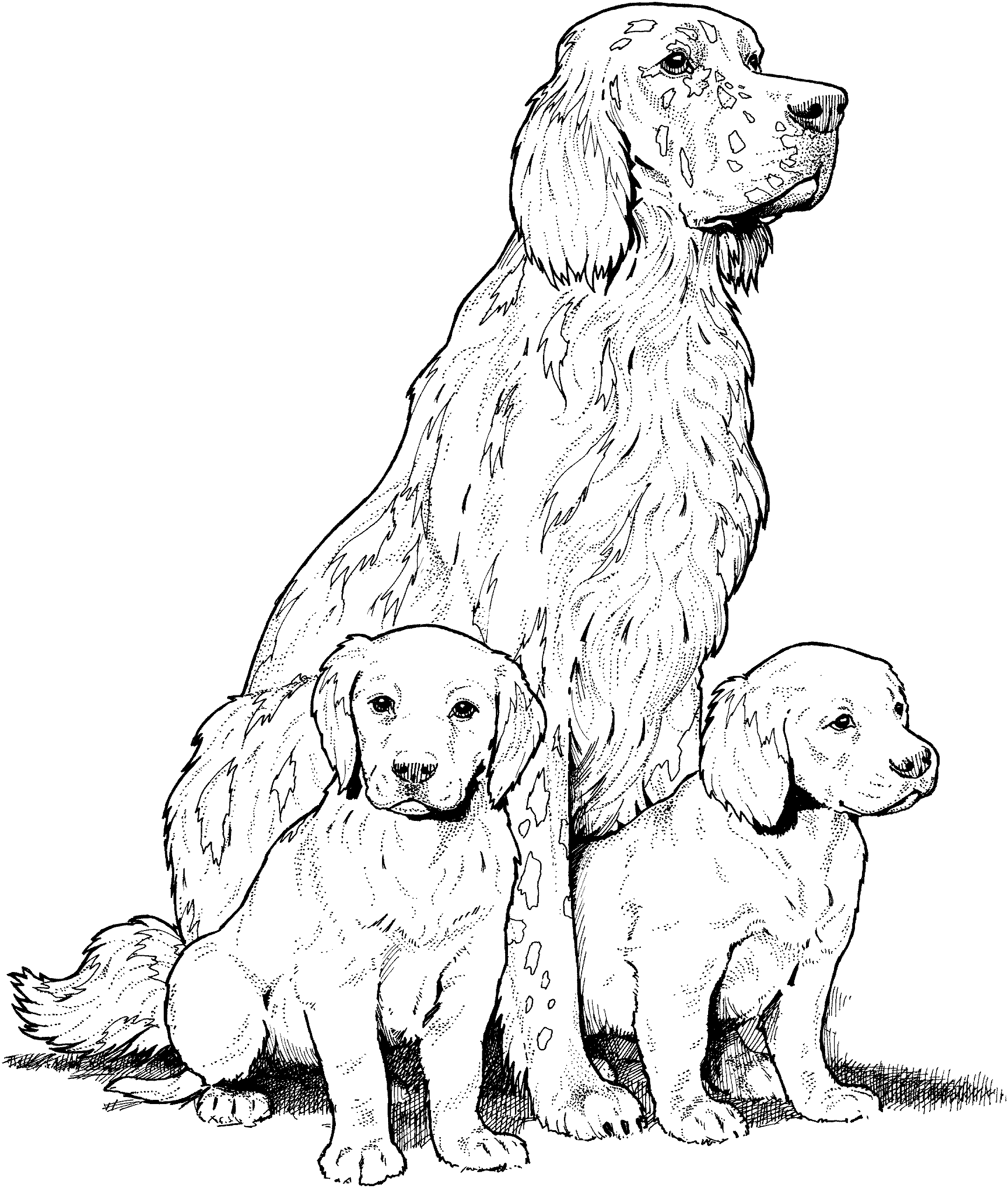 Página para colorir: Cachorro (animais) #3167 - Páginas para Colorir Imprimíveis Gratuitamente