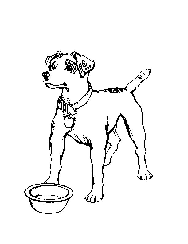 Página para colorir: Cachorro (animais) #3169 - Páginas para Colorir Imprimíveis Gratuitamente