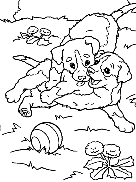 Página para colorir: Cachorro (animais) #3174 - Páginas para Colorir Imprimíveis Gratuitamente