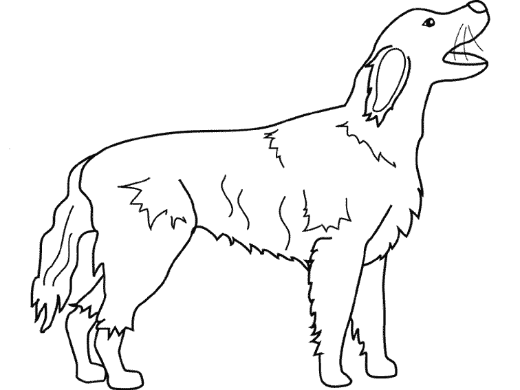 Página para colorir: Cachorro (animais) #3179 - Páginas para Colorir Imprimíveis Gratuitamente