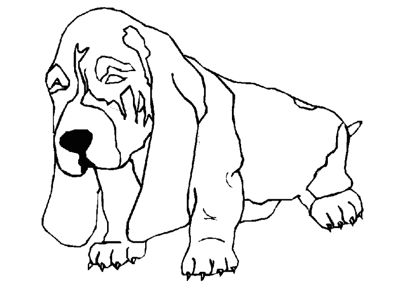 Página para colorir: Cachorro (animais) #3195 - Páginas para Colorir Imprimíveis Gratuitamente