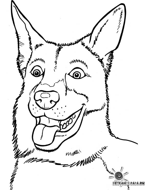 Página para colorir: Cachorro (animais) #3218 - Páginas para Colorir Imprimíveis Gratuitamente
