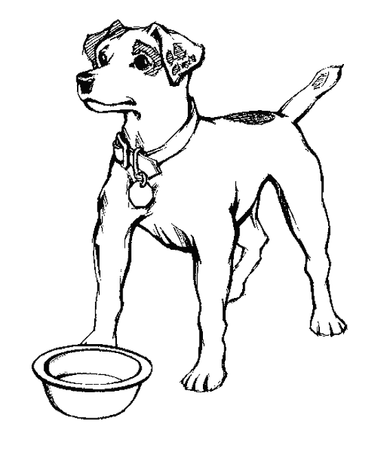 Página para colorir: Cachorro (animais) #4 - Páginas para Colorir Imprimíveis Gratuitamente