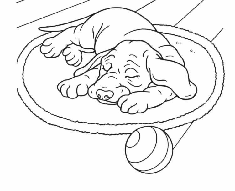 Página para colorir: Cachorro (animais) #51 - Páginas para Colorir Imprimíveis Gratuitamente
