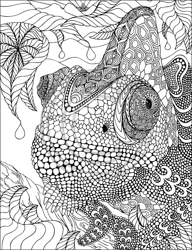 Página para colorir: Camaleão (animais) #1404 - Páginas para Colorir Imprimíveis Gratuitamente