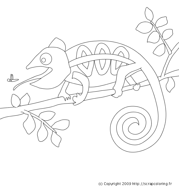 Página para colorir: Camaleão (animais) #1407 - Páginas para Colorir Imprimíveis Gratuitamente