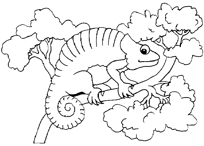 Desenhos para colorir de colorindo o camaleão pelos números  