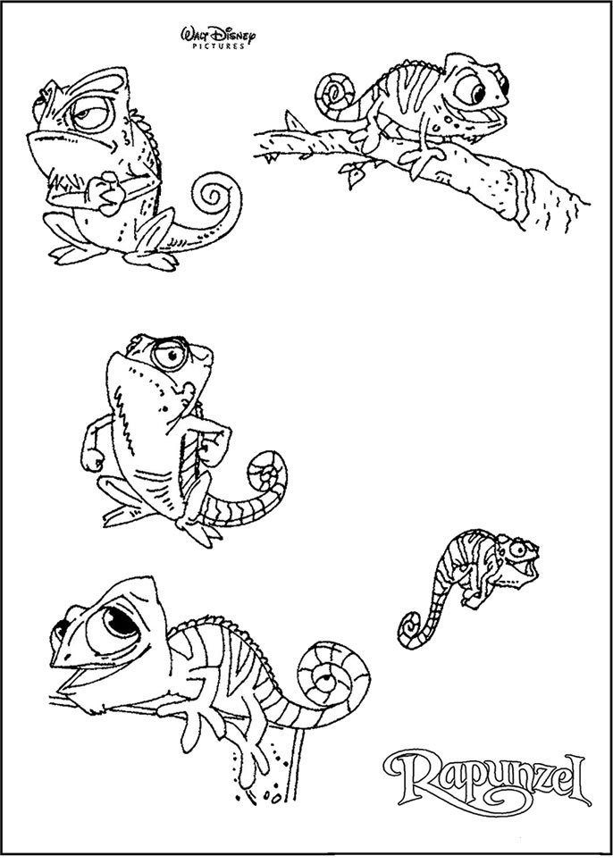 Página para colorir: Camaleão (animais) #1429 - Páginas para Colorir Imprimíveis Gratuitamente