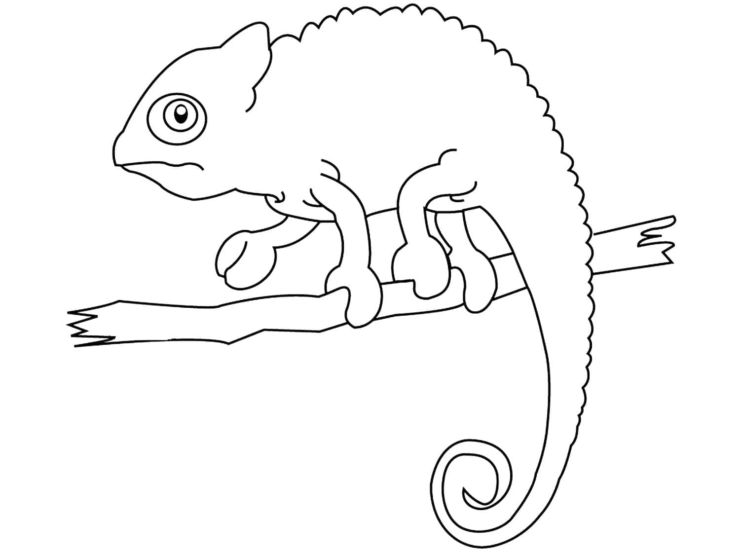 Desenho gratuito Camaleão #206719 da colecao Animais para imprimir