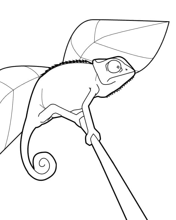 Desenho gratuito Camaleão #206720 da colecao Animais para imprimir