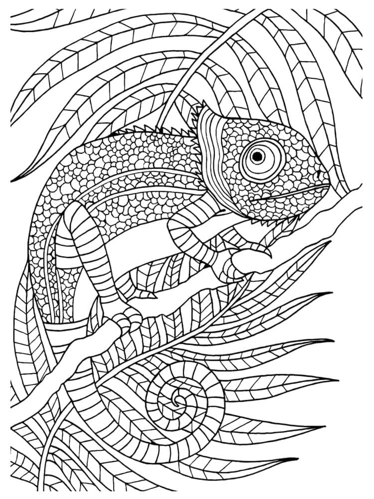 Desenho gratuito Camaleão #206747 da colecao Animais para imprimir