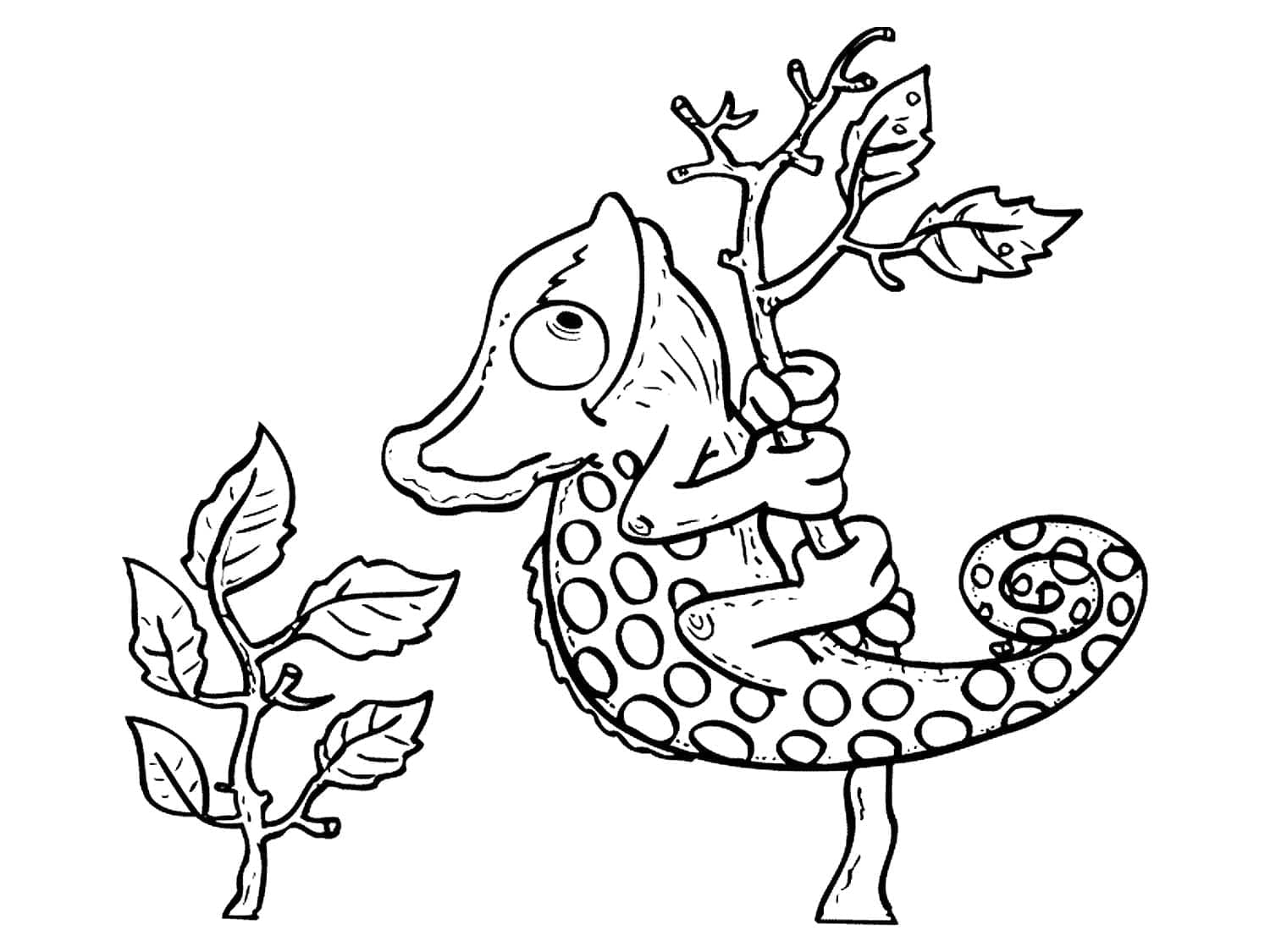 Desenho gratuito Camaleão #206752 da colecao Animais para imprimir