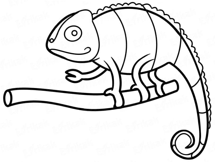 Desenho gratuito Camaleão #206753 da colecao Animais para imprimir