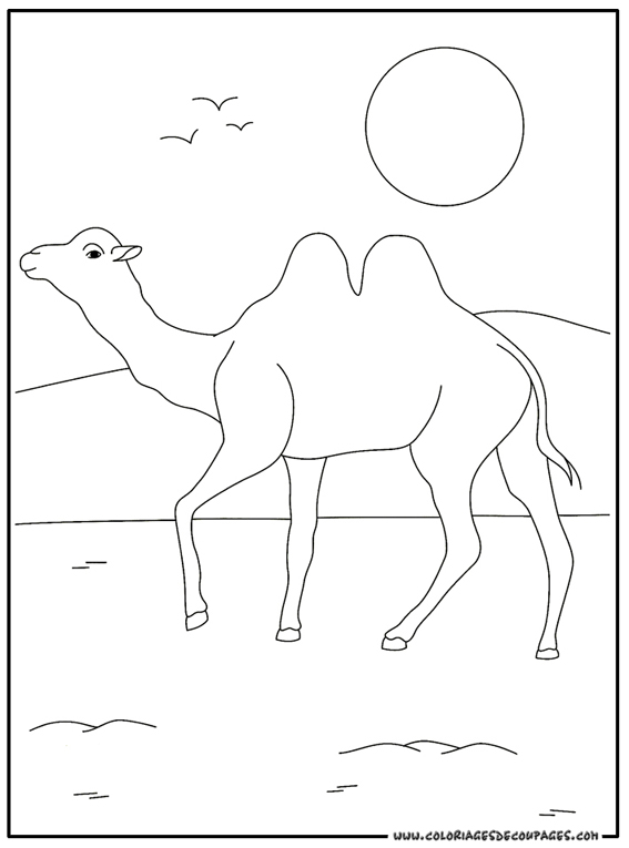 Página para colorir: Camelo (animais) #1672 - Páginas para Colorir Imprimíveis Gratuitamente