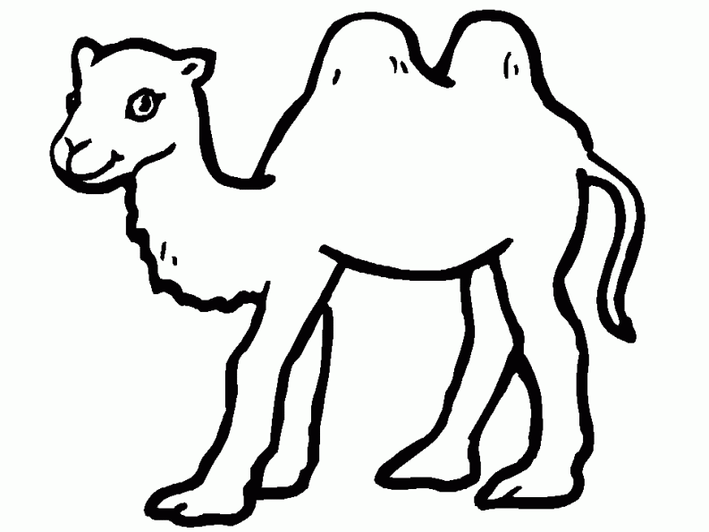 Página para colorir: Camelo (animais) #1681 - Páginas para Colorir Imprimíveis Gratuitamente