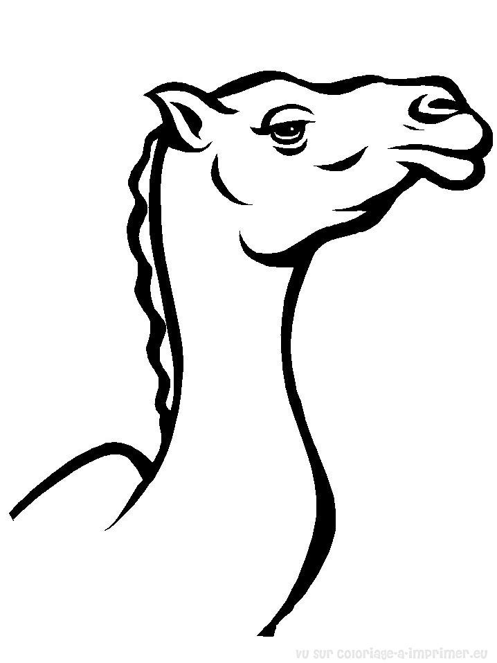Página para colorir: Camelo (animais) #1685 - Páginas para Colorir Imprimíveis Gratuitamente