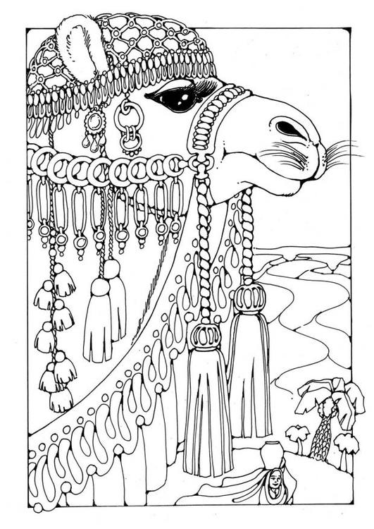 Página para colorir: Camelo (animais) #1694 - Páginas para Colorir Imprimíveis Gratuitamente