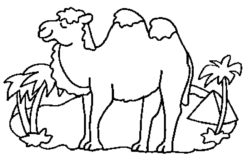Página para colorir: Camelo (animais) #1697 - Páginas para Colorir Imprimíveis Gratuitamente