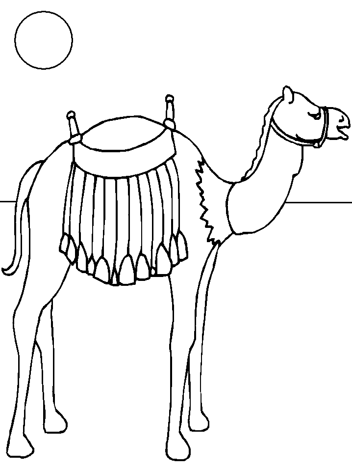 Página para colorir: Camelo (animais) #1699 - Páginas para Colorir Imprimíveis Gratuitamente