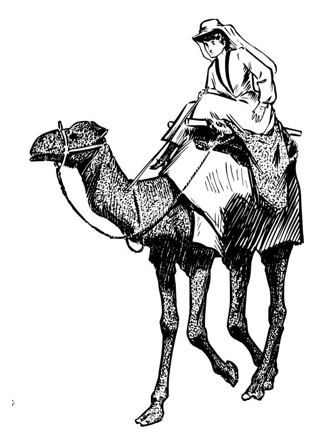 Página para colorir: Camelo (animais) #1705 - Páginas para Colorir Imprimíveis Gratuitamente
