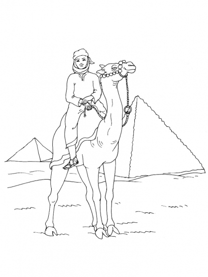 Página para colorir: Camelo (animais) #1713 - Páginas para Colorir Imprimíveis Gratuitamente