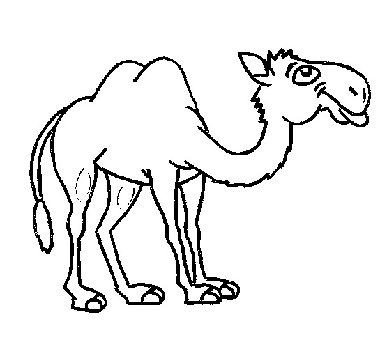 Página para colorir: Camelo (animais) #1719 - Páginas para Colorir Imprimíveis Gratuitamente
