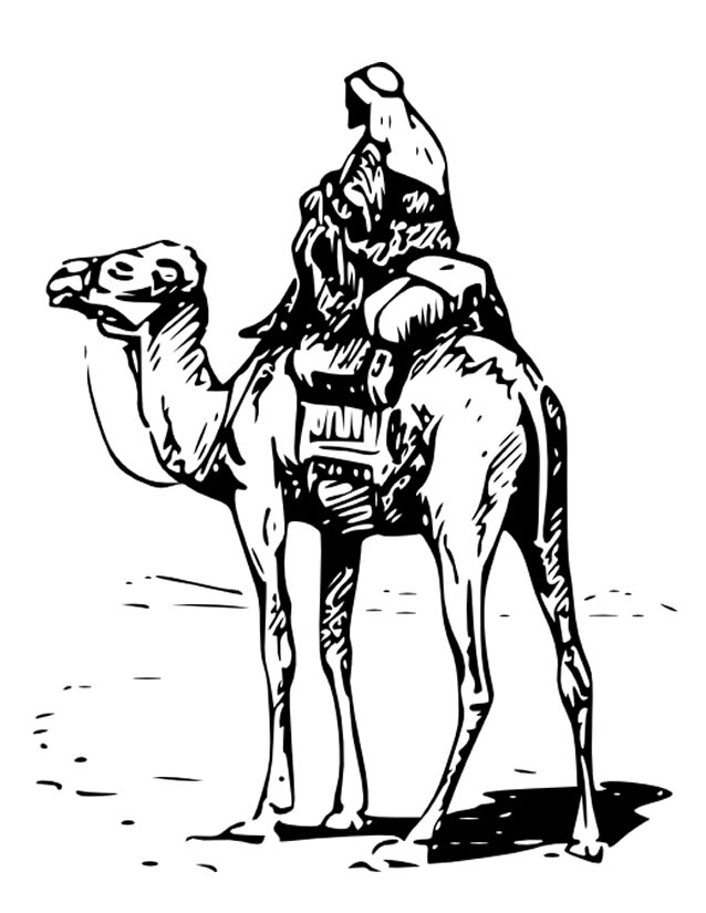 Página para colorir: Camelo (animais) #1729 - Páginas para Colorir Imprimíveis Gratuitamente