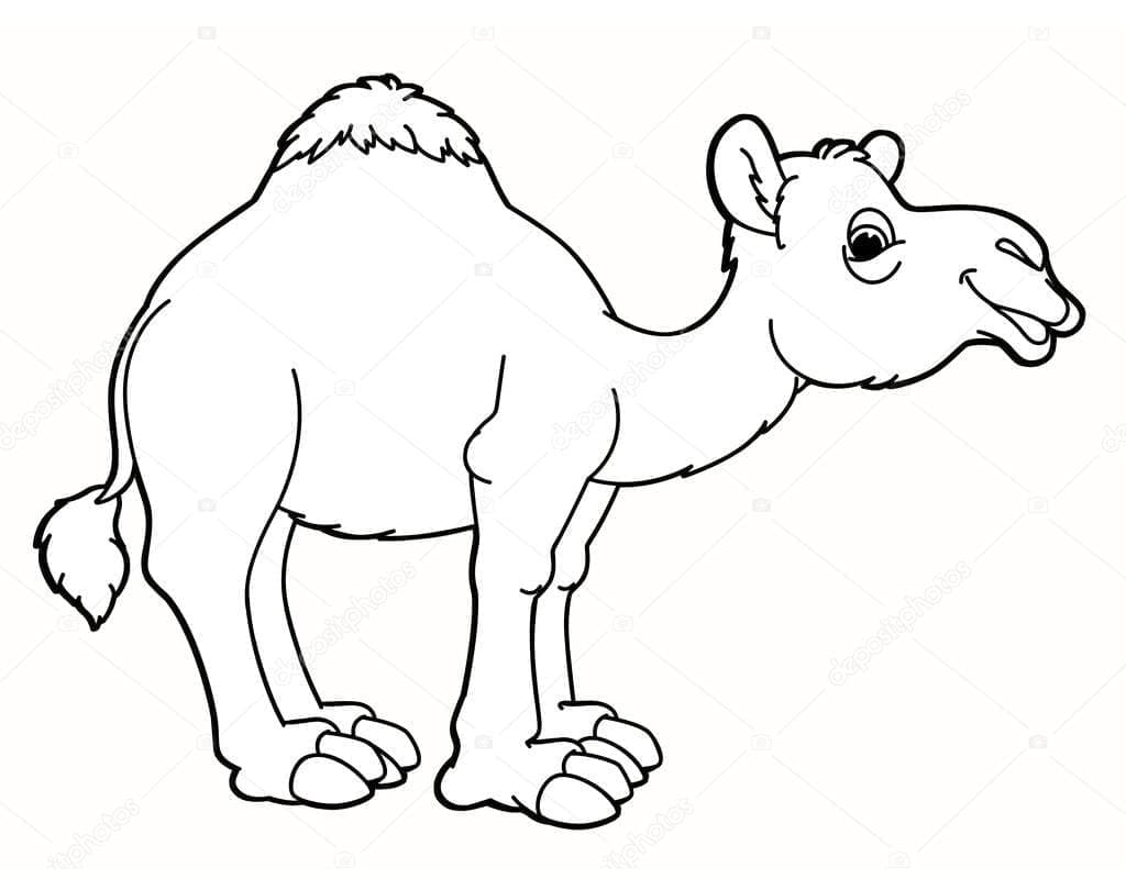 Desenho gratuito Camelo #205457 da colecao Animais para imprimir