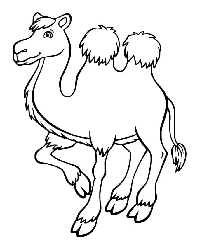 Desenho gratuito Camelo #205462 da colecao Animais para imprimir